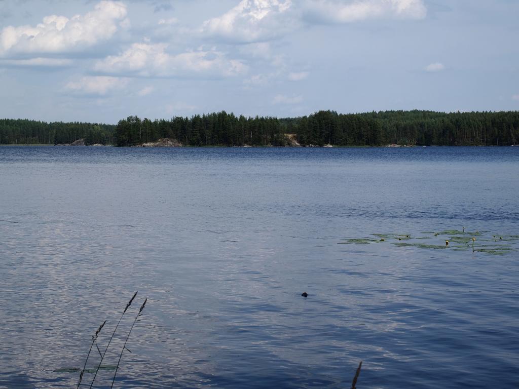 Kuoreksenniemi Villas & Lakehouse Puumala Exterior photo